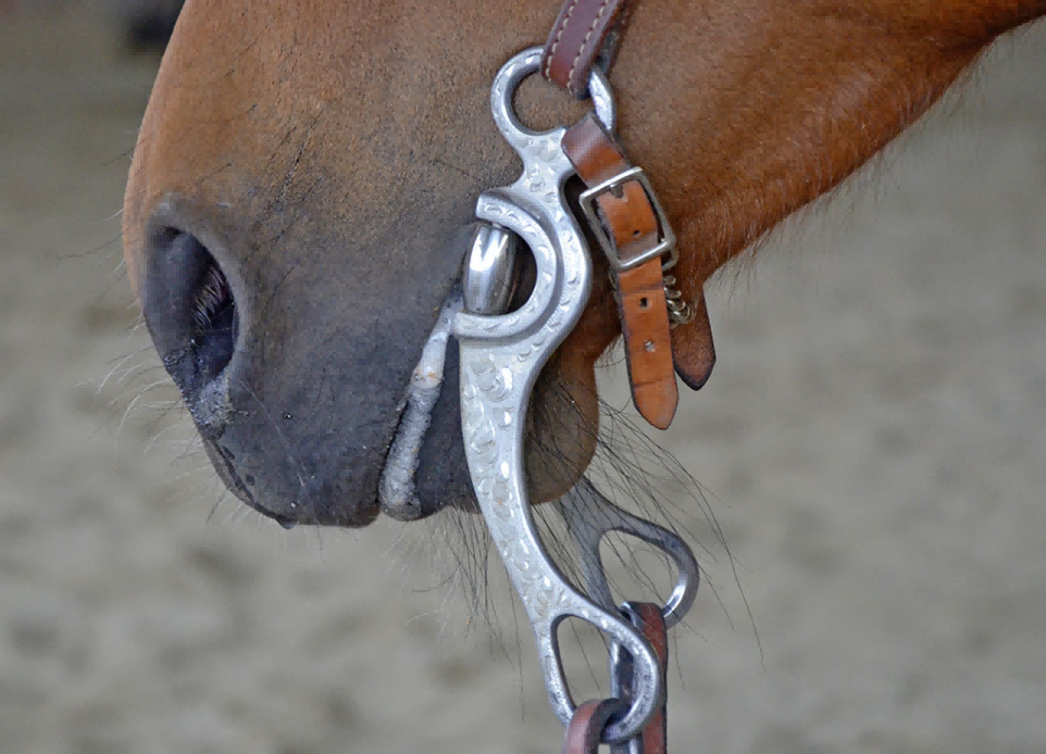 product-962-694 product-962-694